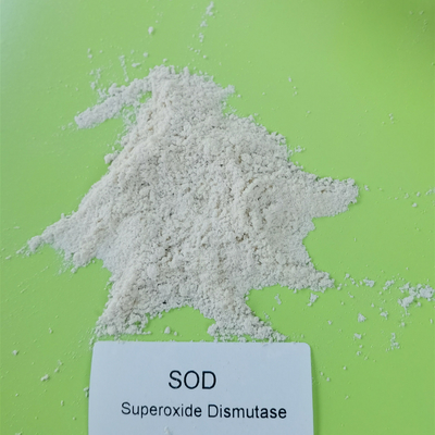 رخصة إنتاج الغذاء SOD2 Superoxide Dismutase في العناية بالبشرة 50000iu / G