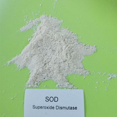 رخصة إنتاج الغذاء SOD2 Superoxide Dismutase في العناية بالبشرة 50000iu / G