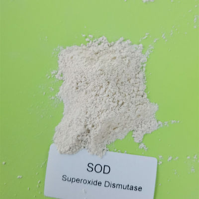 درجة الغذاء 50000iu / g Superoxide Dismutase في العناية بالبشرة 9054-89-1