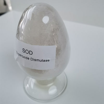 عالية النقاء SOD Superoxide Dismutase CAS 9054 89 1
