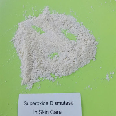 500000iu / g Superoxide Dismutase المواد الخام للعناية بالبشرة