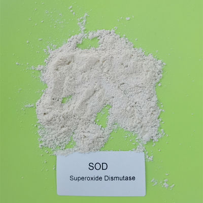 فحص 50000iu / g رخصة إنتاج الغذاء SOD Superoxide Dismutase Powder